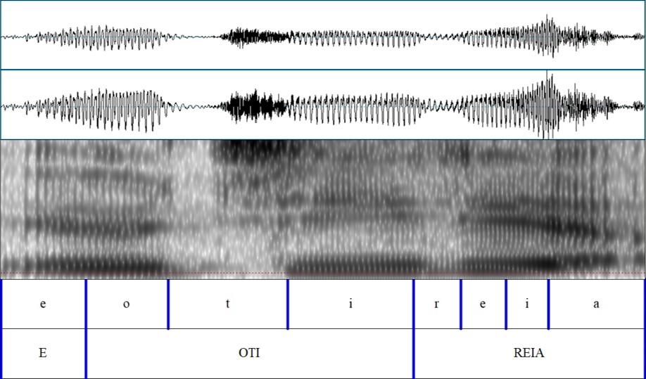 CIM words matched to their audio